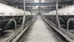 proyek Sistem Konveyor Sabuk Coke Shanxi Gengyang Investment Group
