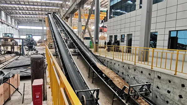 Proyek Agregat Pasir & Kerikil Tanghe Xinmiao Company (produksi tahunan 3 juta ton)